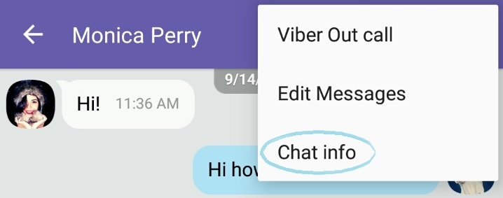viber-chat-info4